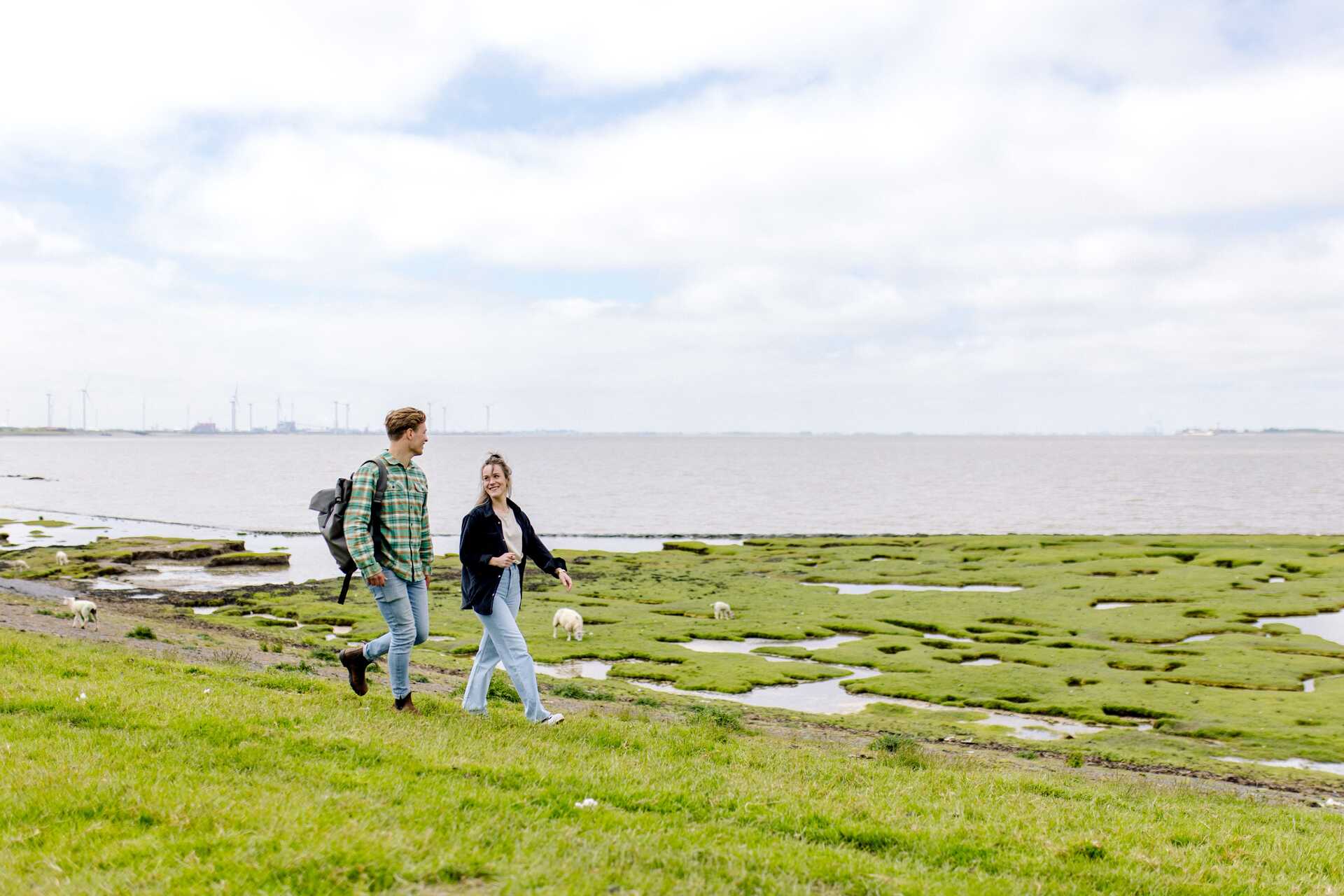 Unusual Dutch Laws You Might Unknowingly Be Breaking