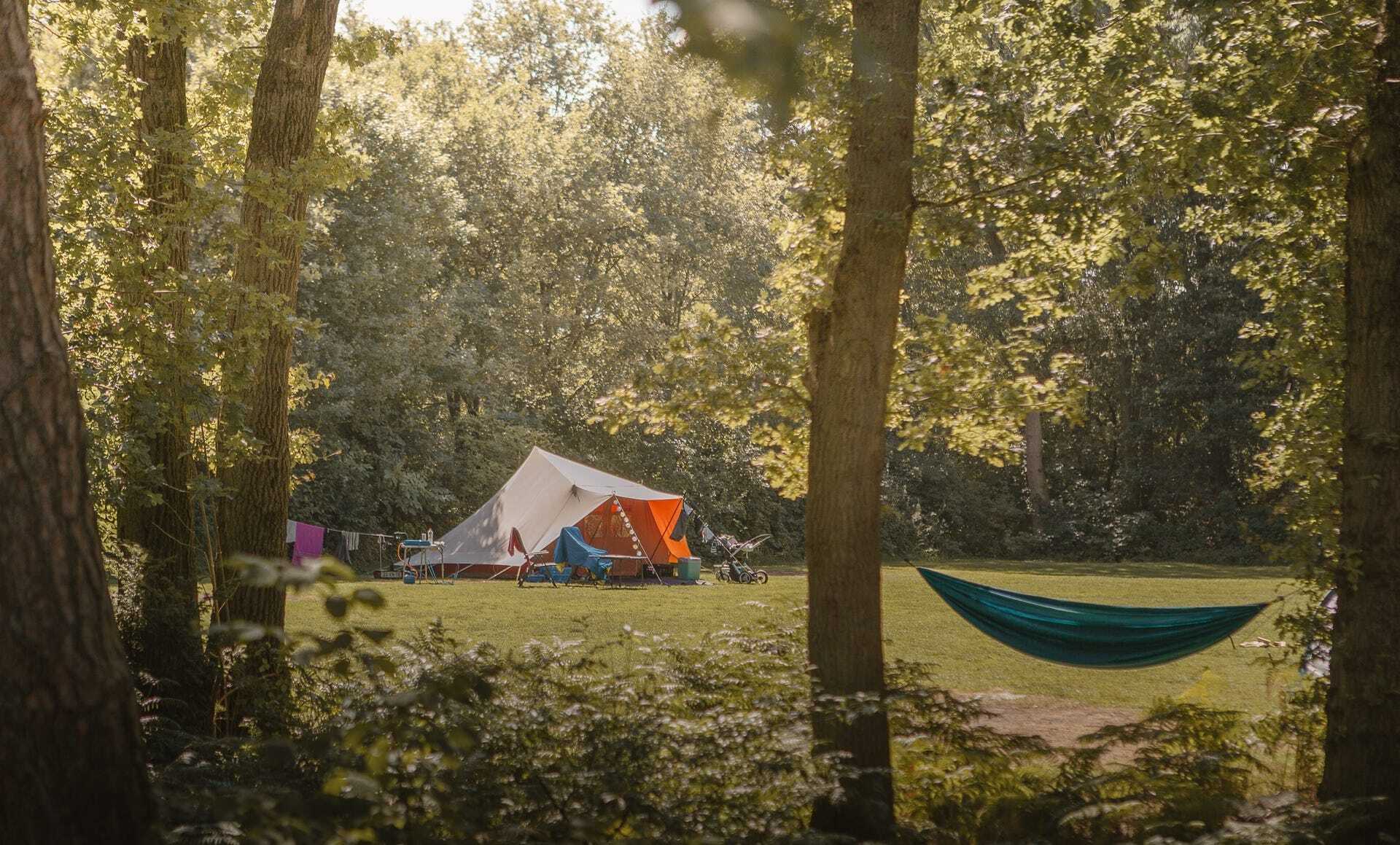 How Camping Works Here and Can You Do It for Free?
