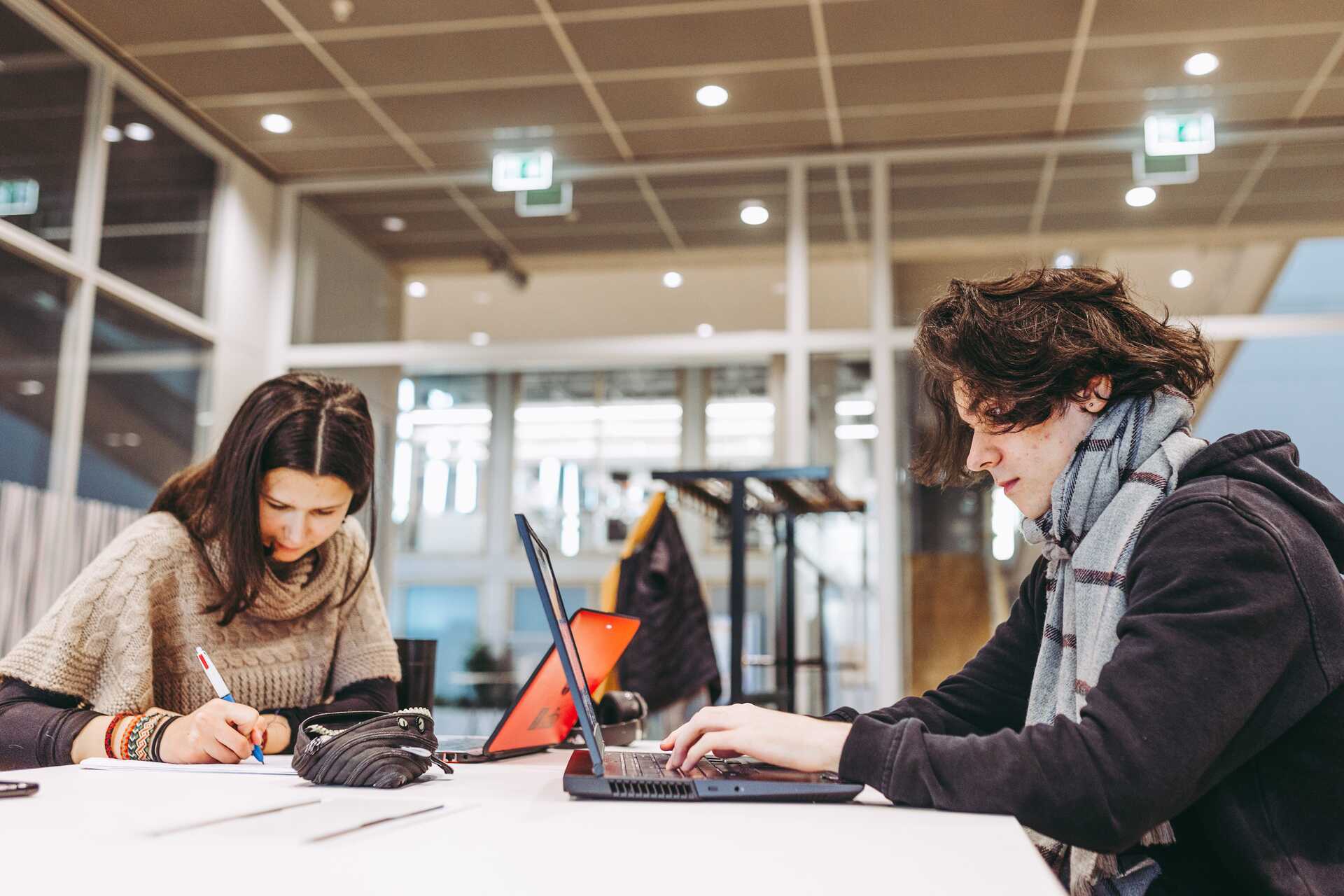 High Dropout Rates Among Dutch University Students Linked to Poor Course Choices