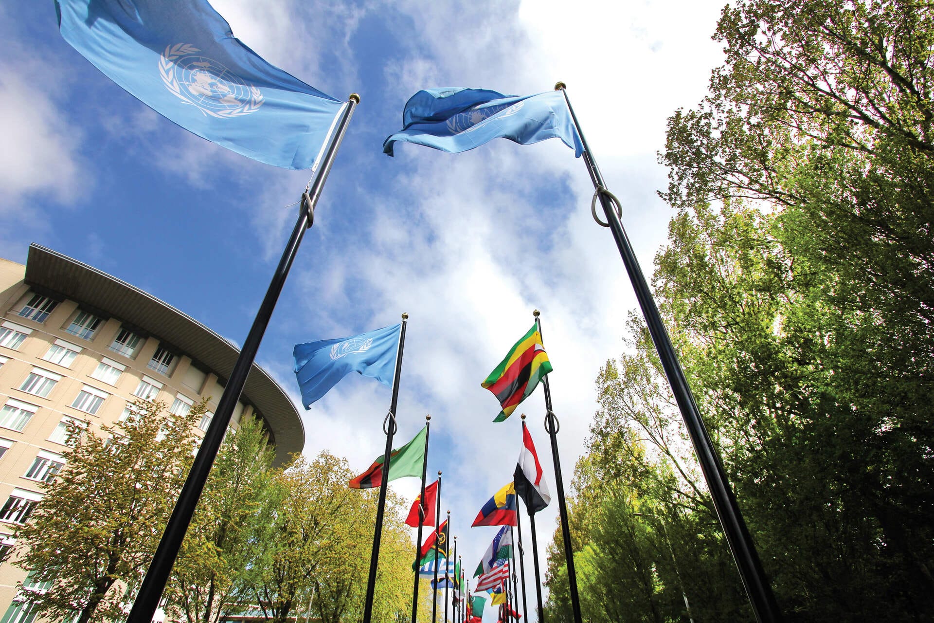 Dutch Government's Short-Term Focus Risks Long-Term Prosperity, Experts Warn