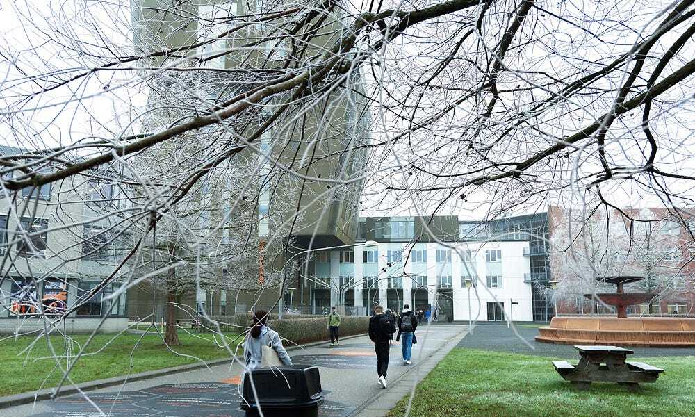 Hanze Plans Major Restructuring for Better Collaboration