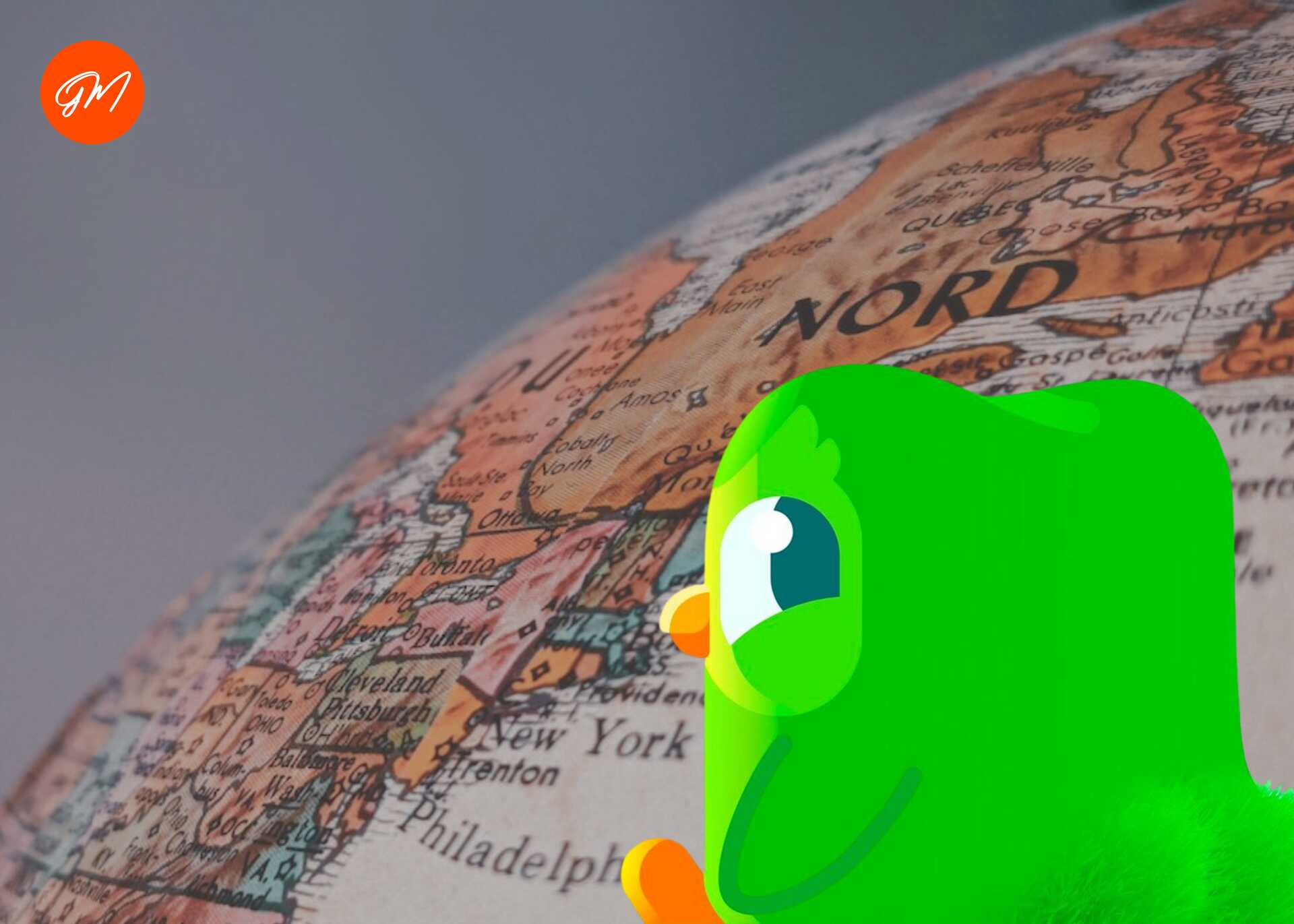 Can you learn Dutch with Duolingo?