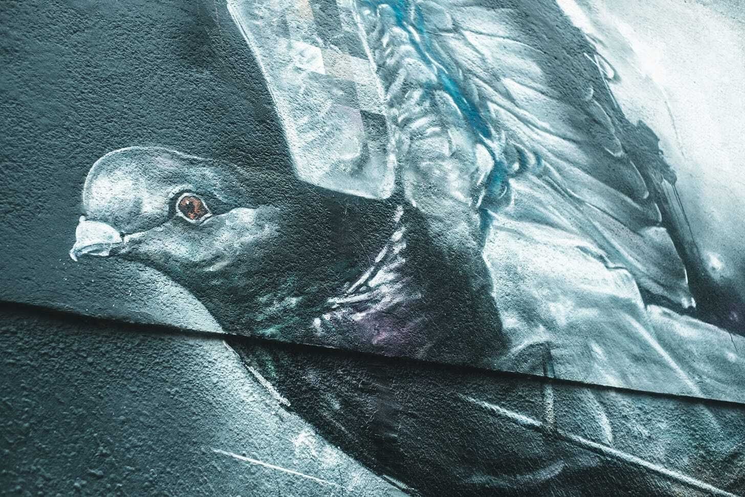 Street art of pigeon in Groningen