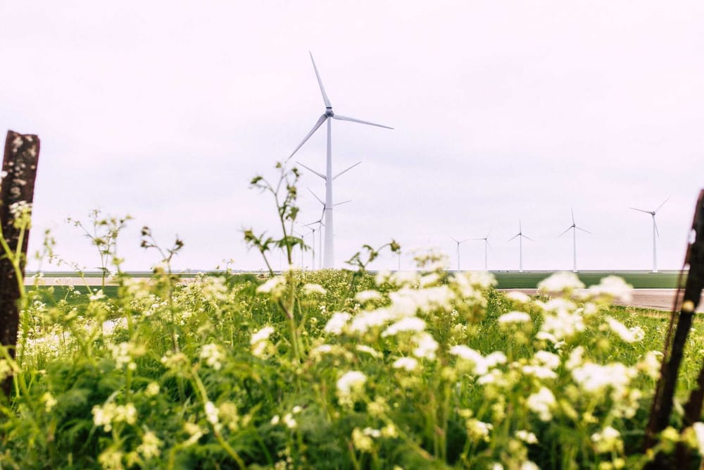 What the Upcoming Budget Cut for Groningen Could Mean for the City post image