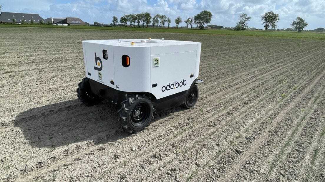 AI-Powered Weeding Robot Tested on Groningen Farm post image