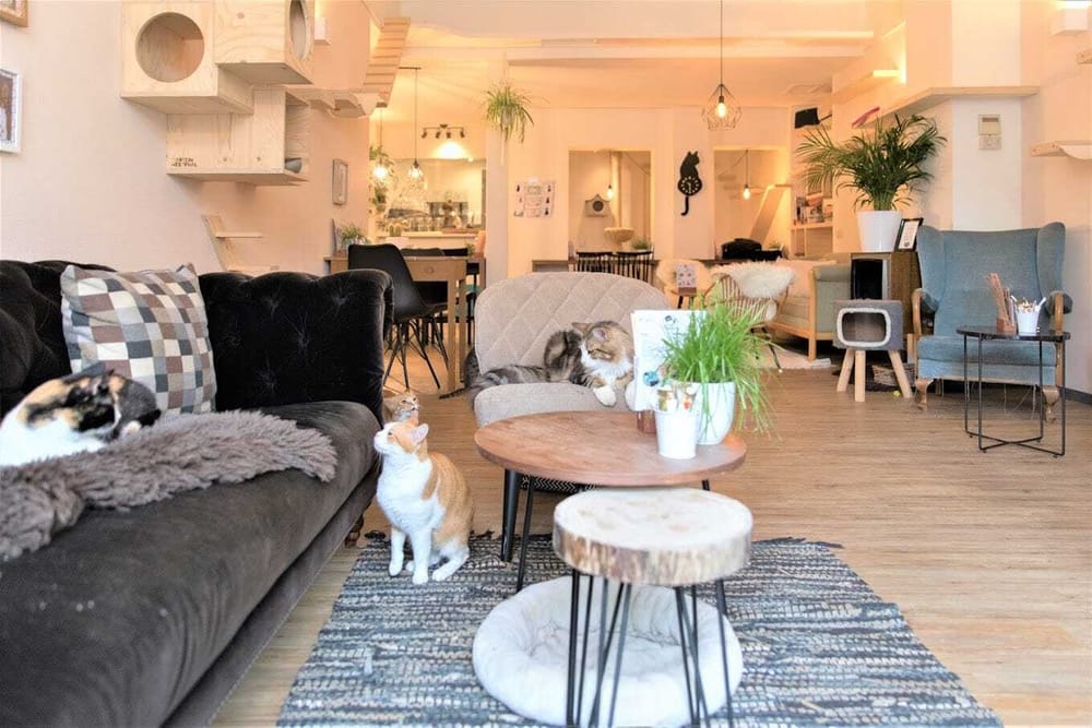 Date Ideas That Are Not Just Grabbing Beers post image