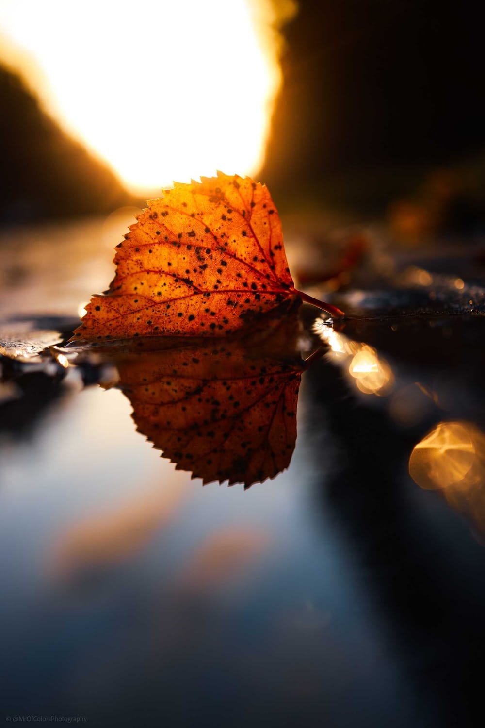 “This Is My Way of Giving Back to the City” Interview With Local Street Photographer post image