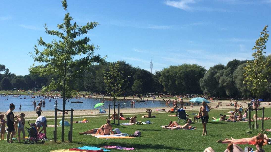 Swimmer’s Itch Hits Hoornseplas Again, Avoid These Swimming Spots for Now post image