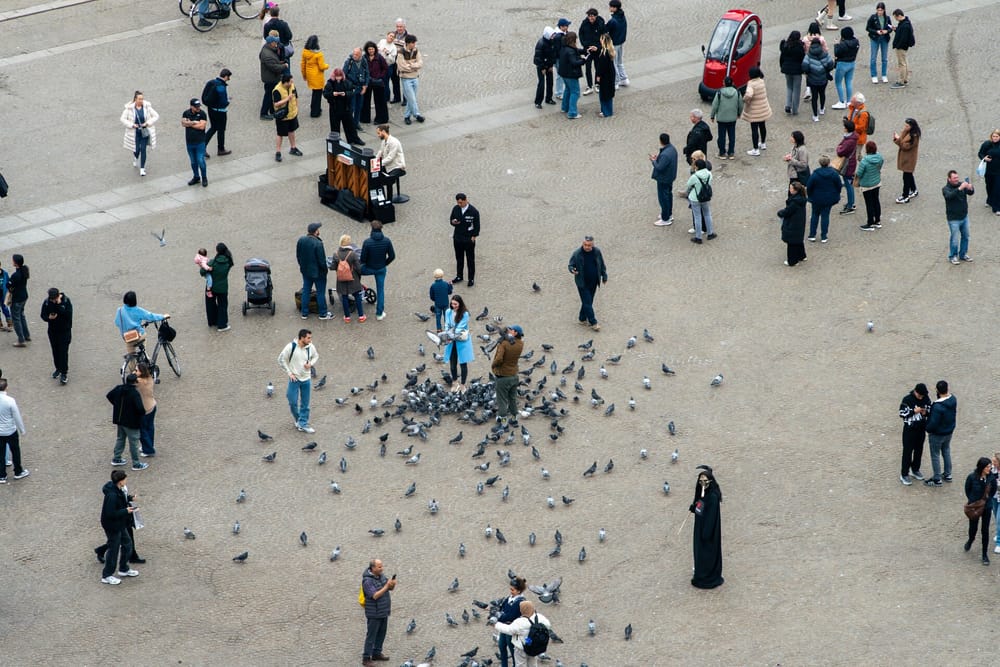 People Are Frustrated by Lack of Political Progress post image