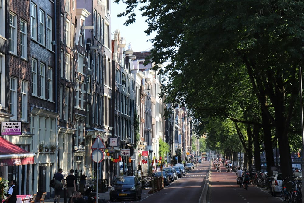 Four in Ten Dutch Homes Now Carry Top Energy Labels post image