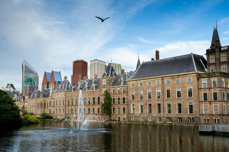 The Elections Are Over, What Is Happening Now? post image