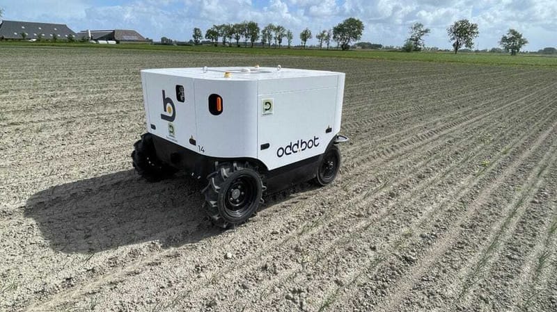 AI-Powered Weeding Robot Tested on Groningen Farm post image