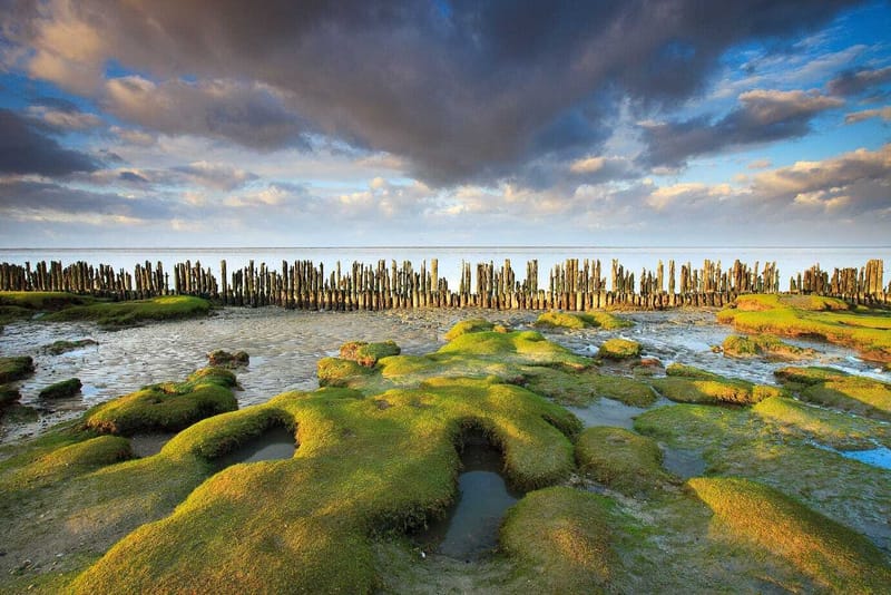 UNESCO World Heritage Site: The Wadden Coast of Groningen post image