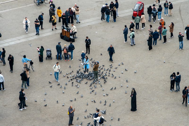 People Are Frustrated by Lack of Political Progress post image