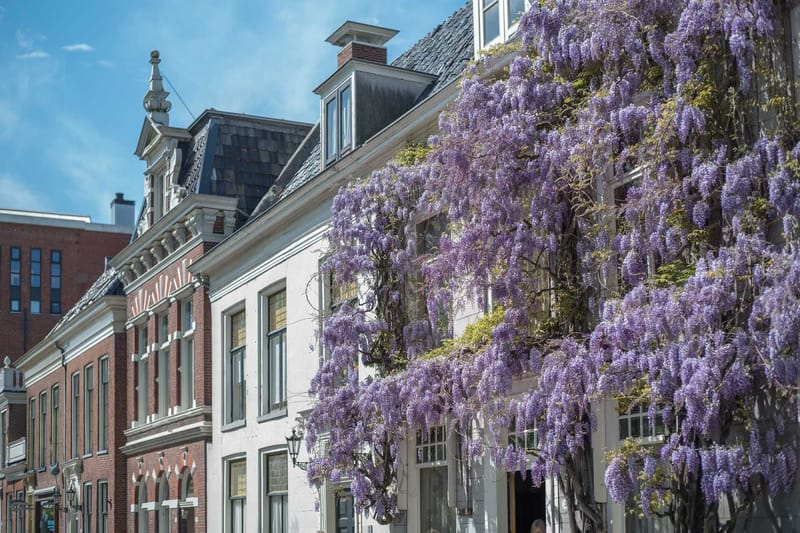 Groningen Introduces New Reporting Rule for Tourist Rentals post image